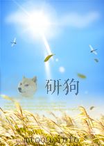 部队文艺 第5期 1950 PDF电子版封面