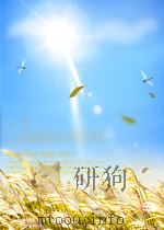 宣教工作通讯 第10期 总第63期 1954 PDF电子版封面