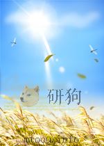 城市建设译丛  上  第6期  总第13期（1956 PDF版）