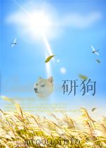 农村金融 第3期 总第30期 1957 PDF电子版封面