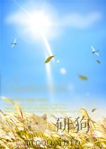 山东大学学报 历史版 第4期 1963 PDF电子版封面