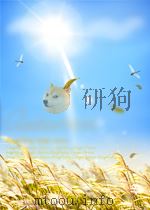 人民铁道 第2期 1961 PDF电子版封面