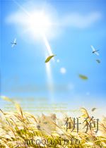 陕西日报索引  第2期   1959  PDF电子版封面     