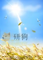 福建日报索引 第10期 1960 PDF电子版封面