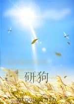 新华社新闻稿 第2013期 1955 PDF电子版封面