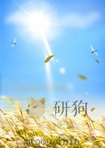 红与专 第8期 总第16期 1959 PDF电子版封面