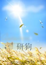 全国主要报刊资料索引 自然技术科学部分 第2期 总第112期 1965 PDF电子版封面
