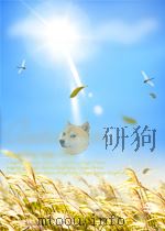 劳动 第9期 1955 PDF电子版封面