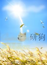 人民税务  第20期  总第140期（1956 PDF版）