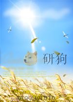中国妇女  第3期（1956 PDF版）