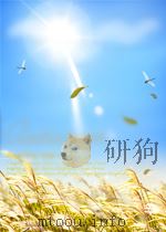 劳动 第10期 1959 PDF电子版封面