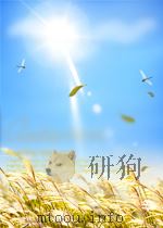 中央合作通讯 第11期 总第69期 1956 PDF电子版封面