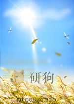东北工业 第106期 1952 PDF电子版封面