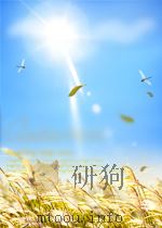 东北财政 第4卷 第2期 1952 PDF电子版封面