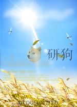 奋斗  第19期  总第31期（1959 PDF版）