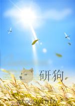 北洋周刊 1934年第20期（ PDF版）