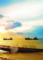 中国养蜂杂志 第9卷 第6期 总第92期 1951 PDF电子版封面