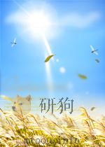 新体育 第20期 总第209期 1961 PDF电子版封面 04413679