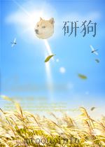 统计工作通讯 第21期 1956 PDF电子版封面