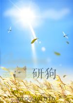 华侨导报  第10期（1953 PDF版）