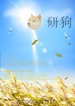 教育通讯  中学版数学  第52期  总第391期（1963 PDF版）