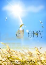 学科学  第14期（1959 PDF版）
