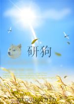 苏联画报  第11期  总第141期（1961 PDF版）