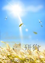 新体育 第23期 总第140期 1958 PDF电子版封面 04413679