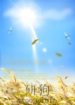 斗争 第99期 1951 PDF电子版封面