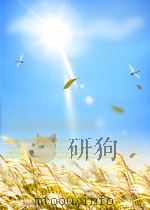 上海铁路管理局局报 第2卷 第12期 1950 PDF电子版封面