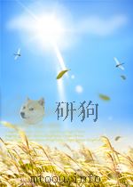 上海铁路管理局局报 第2卷 第85期 1950 PDF电子版封面