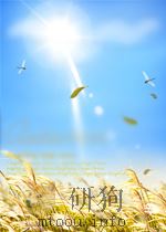 济南铁路管理局局报 第2卷 第193期 1950 PDF电子版封面