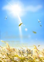 化学世界 第6卷 第10期 1951 PDF电子版封面 03676358