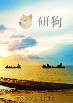 木材销售通讯  第17期（1954 PDF版）