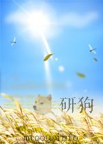 期刊论文索引 固体物理、低温物理、磁学 第4期 总第29期 1961 PDF电子版封面