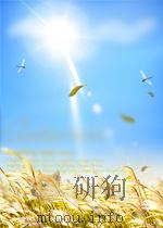 期刊论文索引 理论物理、原子核物理、原子能 第8期 总第38期 1961 PDF电子版封面