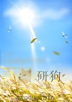 中国农报  第20期  总第76期（1953 PDF版）