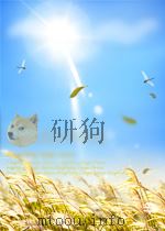 中国农报  第10期  总第66期（1953 PDF版）