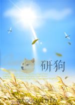德意志民主共和国新闻公报  第10期附册（1955 PDF版）