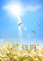 经济导报  第20期  总第271期（1952 PDF版）