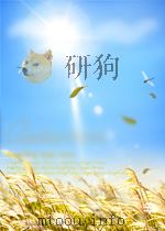 宁夏农业科学通讯 第8期 1959 PDF电子版封面