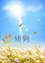 农业生产 第5卷 第10期 1950 PDF电子版封面
