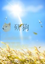 安徽林业 第11期 1956 PDF电子版封面