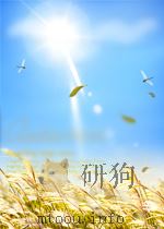 捷克斯洛伐克新闻公报  第12期（1956 PDF版）