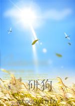 湖南林业通讯  第9期  总第118期（1957 PDF版）