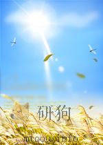 林业快报  第15期  总第87期（1965 PDF版）