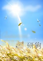 林业快报  第24期  总第48期（1963 PDF版）