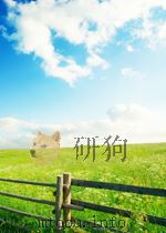 时事手册  第4期  总第81期（1954 PDF版）