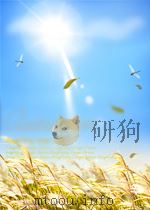 林业科学技术快报 第19期 1959 PDF电子版封面