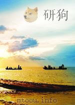 电工文摘 第一分册 一般问题 材料和光技术 第5期 1965 PDF电子版封面